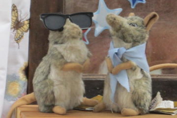 Two Shrews