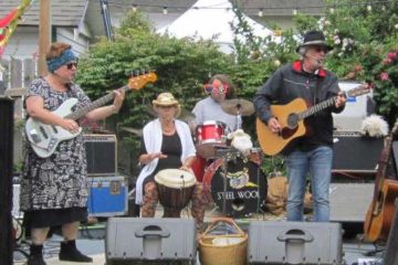 Steel Wool Band